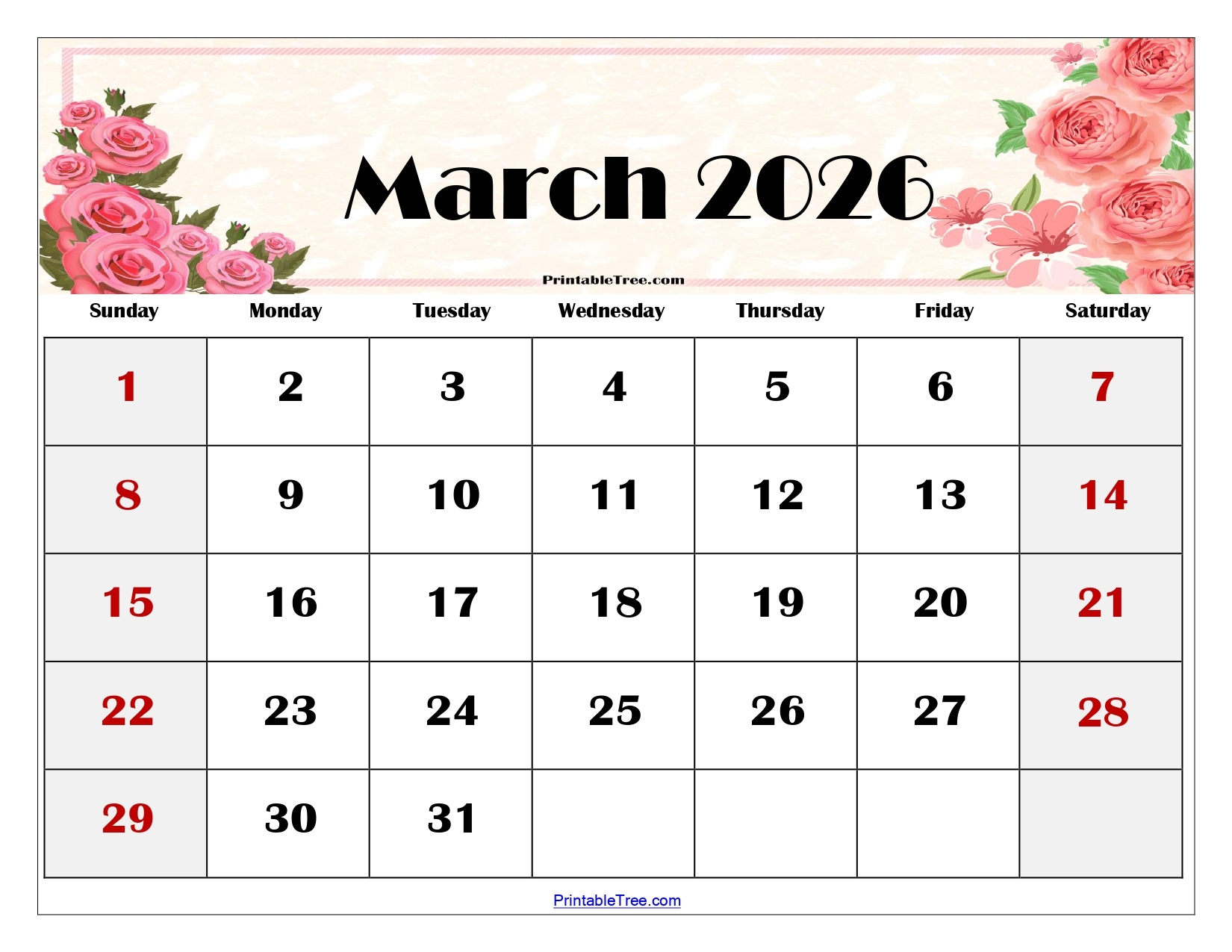 Blank March Calendar 2026 Printable